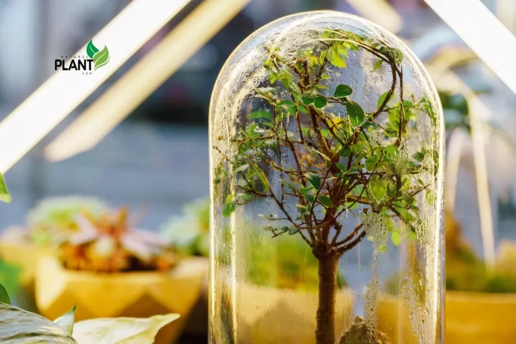 A vibrant terrarium showcasing a variety of greenery, including ferns, moss, and succulents, arranged artfully in a clear glass container.